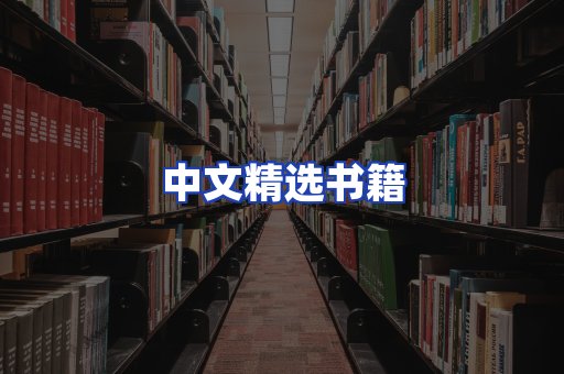 中文精选书籍